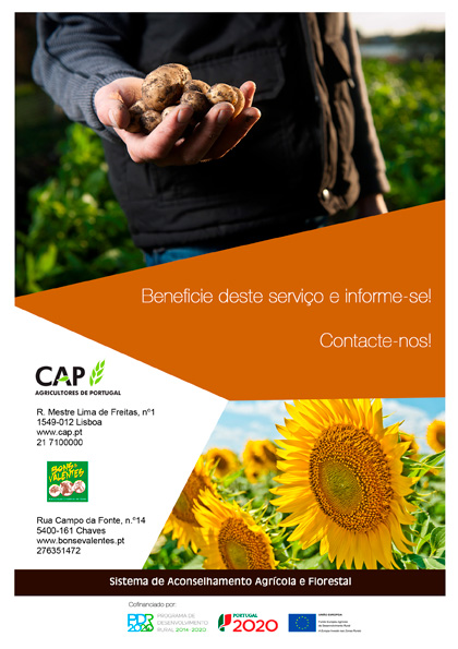 Formação Jovens Agricultores